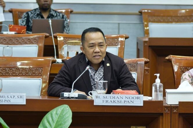 Sudian Noor, Anggota DPR RI