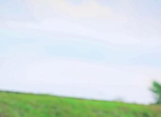 Kesibukan Kerja Tinggi, Manohara Bagikan Manfaat Lari untuk Kurangi Stres