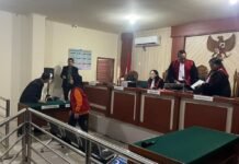 Divonis Lebih Ringan, Emy Yuliana Terbukti Gelapkan Uang PT PLJ